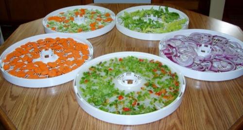 Зачем нужна сушилка для овощей и фруктов. Зачем нужна сушка для овощей? 02