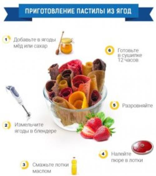 Как пользоваться сушилкой для фруктов. Как правильно пользоваться сушилкой