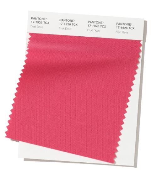 Pantone цвет 2019 года. Неделя моды в Нью-Йорке Осень / Зима 2019/2020