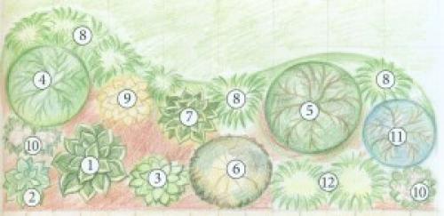 Цветник своими руками для начинающих схемы. Схемы простых клумб для начинающих