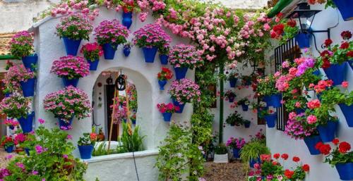 Цветник своими руками из подручных материалов. Как сделать цветники и клумбы своими руками из подручных материалов: фото и алгоритм действий