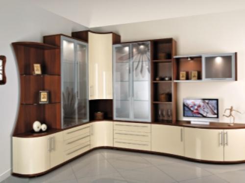 Мебель для зала стенки. Как выбрать? 03