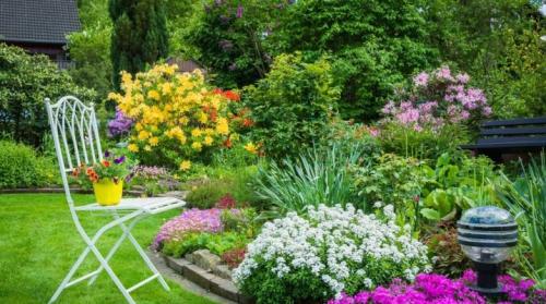 Клумбы: как украсить участок своими руками