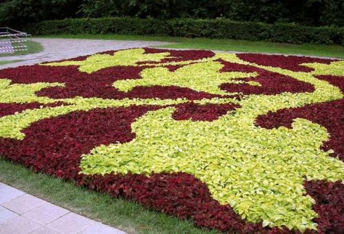 Украшения для клумбы своими руками. Цветники и клумбы своими руками из подручных материалов: фото и разновидности