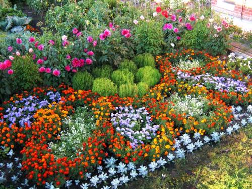 Украшения для клумбы своими руками. Цветники и клумбы своими руками из подручных материалов: фото и разновидности