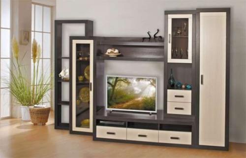 Шкаф стенка в зал. На что обратить внимание