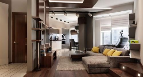 Интерьер гостиной в квартире однокомнатной. Советы по выбору дизайна однокомнатной квартиры 03