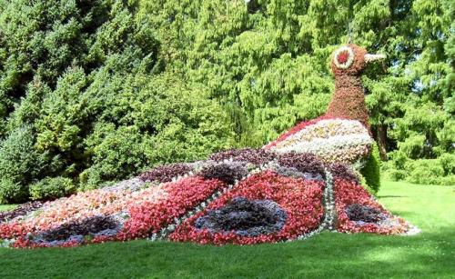 Цветник своими руками из подручных материалов. Как сделать цветники и клумбы своими руками из подручных материалов: фото и алгоритм действий