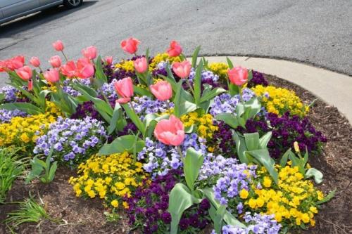 Клумбы и цветники на даче. Идеи оградок для клумб 06