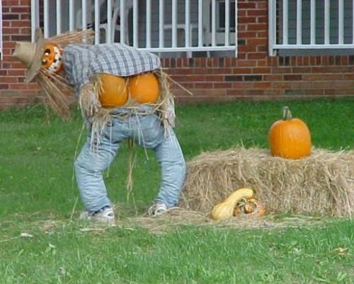 Красивые идеи для дачи. Идеи оформления забора на даче 11