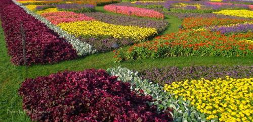 Как оформить цветники на даче просто и красиво своими руками. Клумба своими руками из подручных материалов 10 Как оформить цветники на даче просто и красиво своими руками. Клумба своими руками из подручных материалов 10