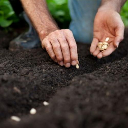 Как оформить цветники на даче просто и красиво своими руками. Клумба своими руками из подручных материалов 13 Как оформить цветники на даче просто и красиво своими руками. Клумба своими руками из подручных материалов 13