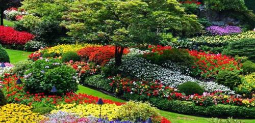 Как оформить цветники на даче просто и красиво своими руками. Клумба своими руками из подручных материалов 09 Как оформить цветники на даче просто и красиво своими руками. Клумба своими руками из подручных материалов 09