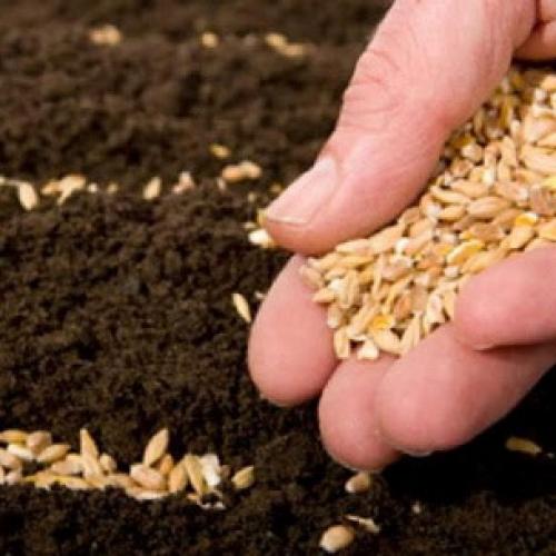 Как оформить цветники на даче просто и красиво своими руками. Клумба своими руками из подручных материалов 12