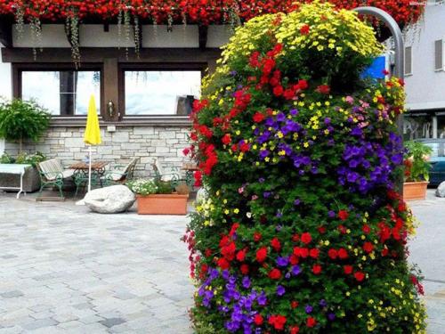 Клумба своими руками идеи. Цветники и клумбы своими руками из подручных материалов: фото и разновидности