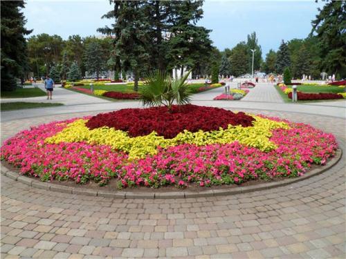 Клумба своими руками идеи. Цветники и клумбы своими руками из подручных материалов: фото и разновидности