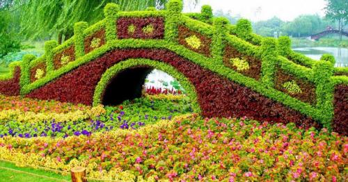 Клумба своими руками идеи. Цветники и клумбы своими руками из подручных материалов: фото и разновидности