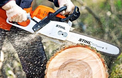 Как сделать деревянные спилы. Этап №1 – заготовка и обработка пеньков