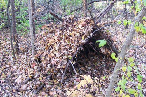 Постройка шалаша. Строим шалаш в лесу. Несколько видов укрытия.