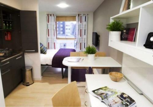 Дизайн кухни студии с перегородкой. Разделить или объединить кухню от комнаты?