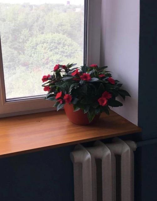 Варианты отделки подоконника. Из чего сделать красивый и практичный подоконник