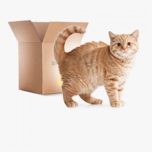 Что нужно сделать въезжая в новую квартиру. Приметы и ритуалы при новоселье 03