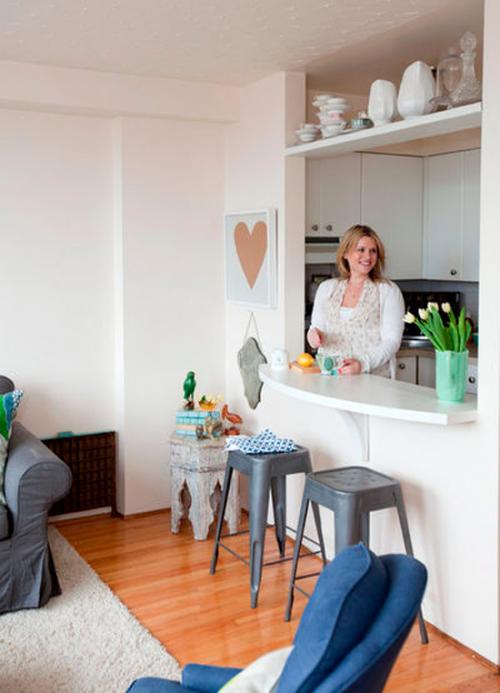 Кухня студия с перегородкой. 11 советов дизайна и обустройства кухни-студии