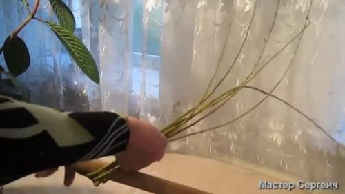 Декор из веток ивы. Украшение комнаты декором из веток и шаров из ниток