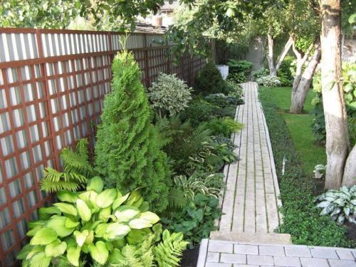 Чем укрыть забор. Что делать с щелью под забором?