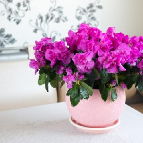 Реставрация мебели советских времен. Декорирование старой мебели