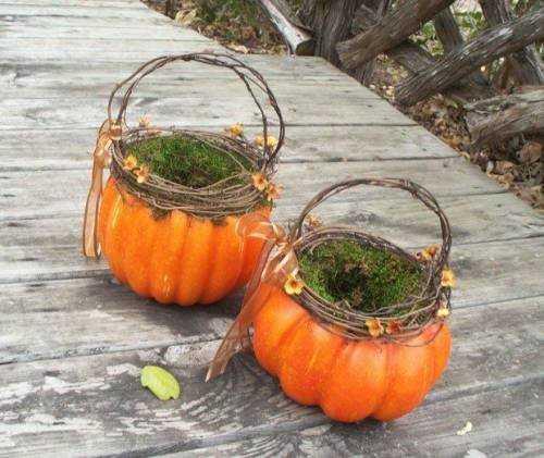 Корзина из тыквы с овощами. Корзина из тыквы своими руками: мастер класс для рукодельниц