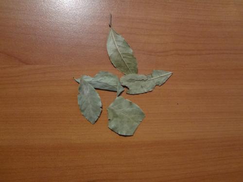 Как освежить воздух с помощью лаврового листа. Магические свойства лаврового листа. 3 свойства.