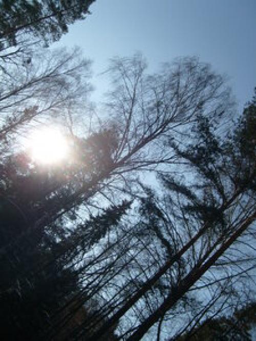 Куда убрать летние вещи. Убираем летние вещи. Как хранить вещи другого сезона? 06