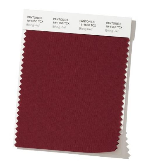 Цвета Пантон осень 2019. Модные цвета осень-зима 2019-2020 по версии Pantone