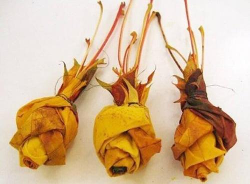 Осенние композиции для дома. Осенняя композиция: создаём уют в доме своими руками 34 Осенние композиции для дома. Осенняя композиция: создаём уют в доме своими руками 34