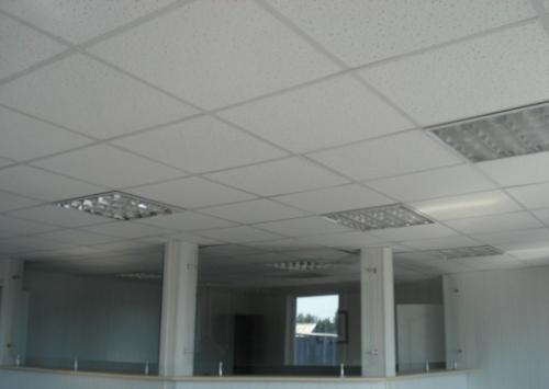 Плитка потолочная экструдированная цветная (моющаяся). Виды потолочной плитки