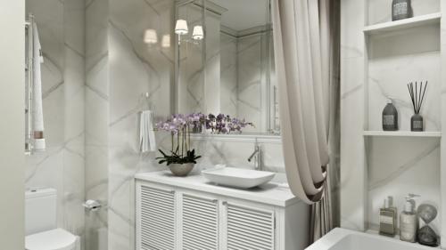 Совмещенный санузел. Модные тенденции благоустройства совмещённого санузла