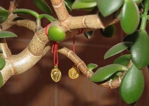 Мелочь в доме приметы. Народные приметы, связанные с монетами