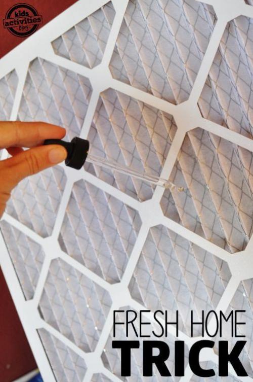 Как сделать приятный запах в квартире с помощью эфирных масел. Секреты идеального запаха в вашем доме