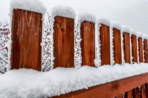 Забор из обзола. Какой забор дешевле: посчитаем вместе