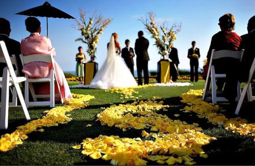 Лепестки роз на свадьбу. Как 12 способами использовать лепестки роз на свадьбе: