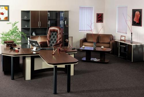 Дизайн маленького кабинета руководителя. Мебель для руководителя – лучшие идеи подбора красивой и функциональной мебели (видео + 100 фото)