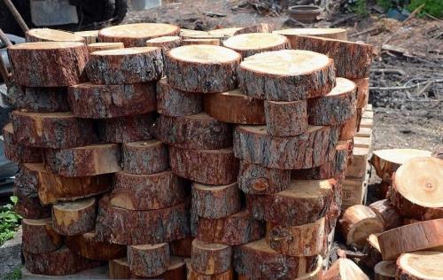 Пол из торцевых спилов бруса. Как дрова превратить в конфетку? Делаем из спилов удивительный пол