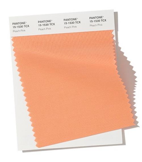 Цвета Пантон осень 2019. Модные цвета осень-зима 2019-2020 по версии Pantone