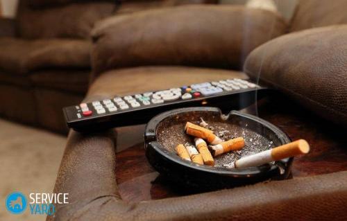 Освежить воздух в квартире. 10 приемов освежить воздух в квартире 05