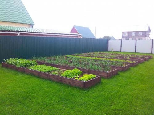 Чем укрыть забор. Что делать с щелью под забором?