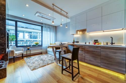 Кухня студия и зал. Планировка 09