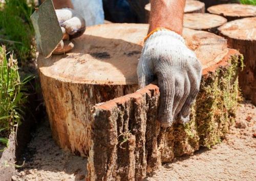 Как сделать деревянные спилы. Этап №1 – заготовка и обработка пеньков