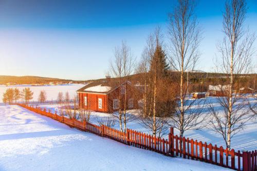 Забор из обзола. Какой забор дешевле: посчитаем вместе