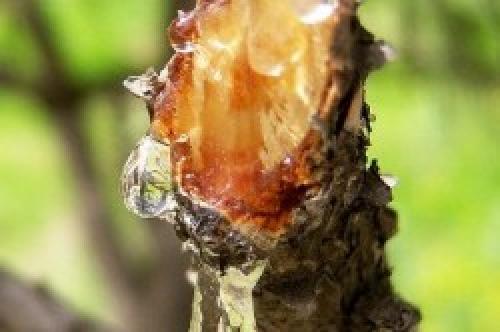 Каким лаком покрывали советскую мебель. Лакирование и покраска изделий 01 Каким лаком покрывали советскую мебель. Лакирование и покраска изделий 01